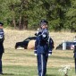 Firing the salute